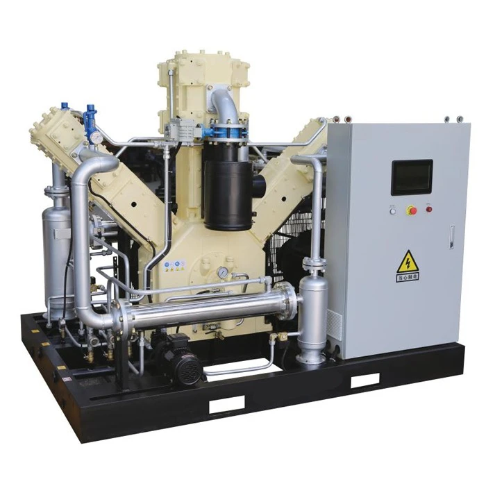 Professional Low Noise Oil Free Piston Air Compressor Hot Selling Products